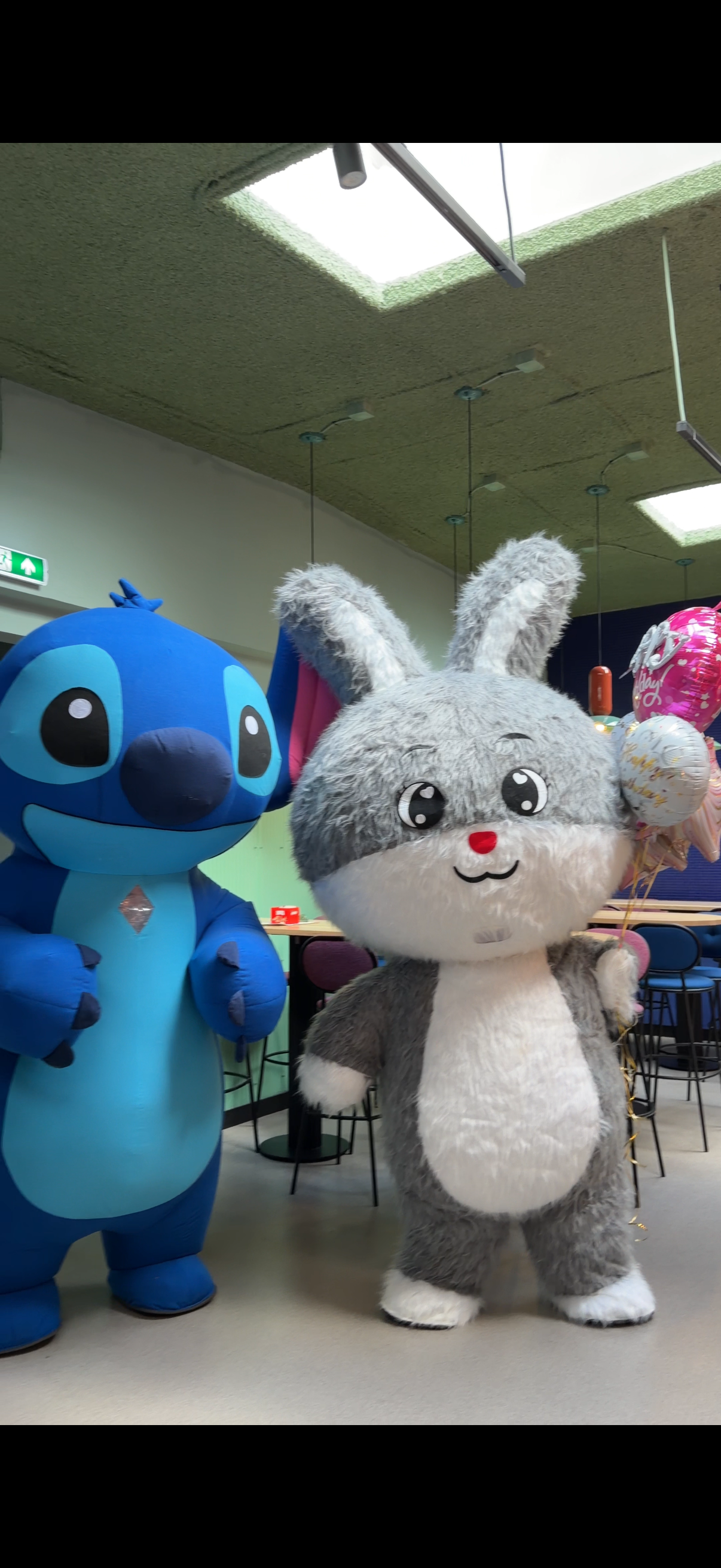 Birthday Mascot Surprise